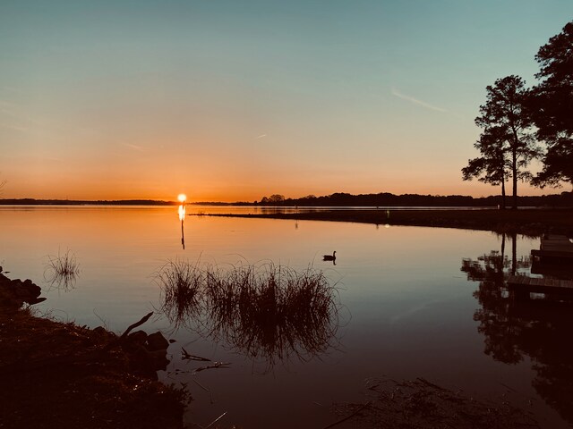 Building Photo - 217 Brendalwood Blvd