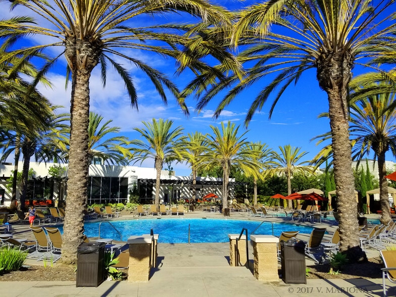 Resort-style pools, heated year round. - 13019 Park Pl