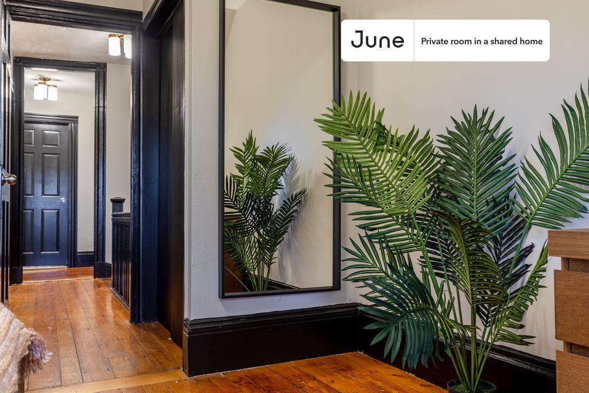 Building Photo - Room in Shared 5 bed/2 bath home in Allston