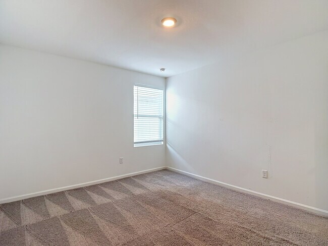 Building Photo - 35544 Shade Fern Ln