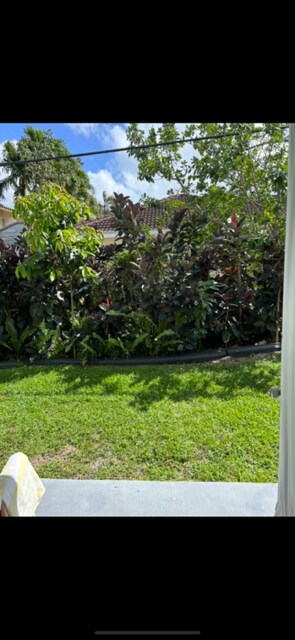 Back garden - 1920 NE 51st Ct