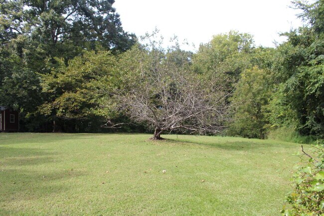 Building Photo - CHARMING HOUSE IN THE TOWN OF CLARKSVILLE VA.  MINUTES FROM SHOPPING AND ENTERTAINMENT.