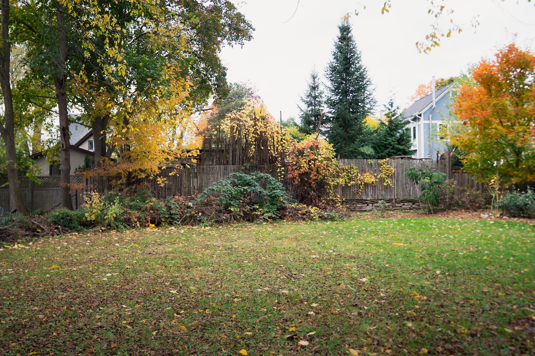 Building Photo - 603 Gott St