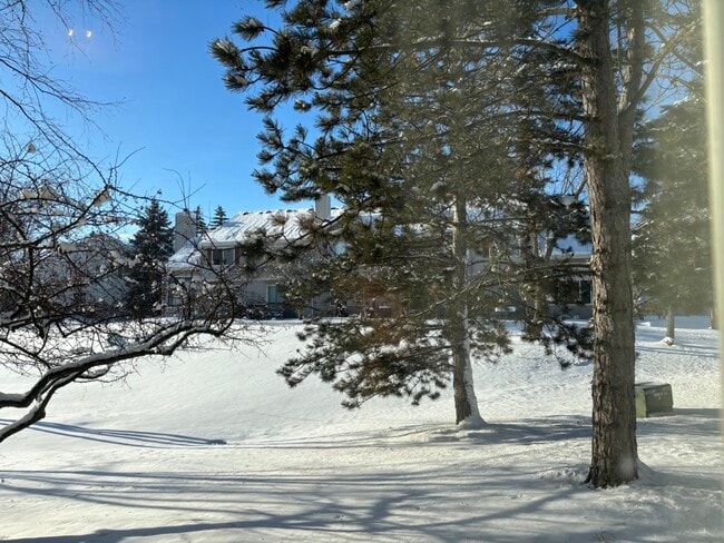 Building Photo - 2711 Odlum Dr