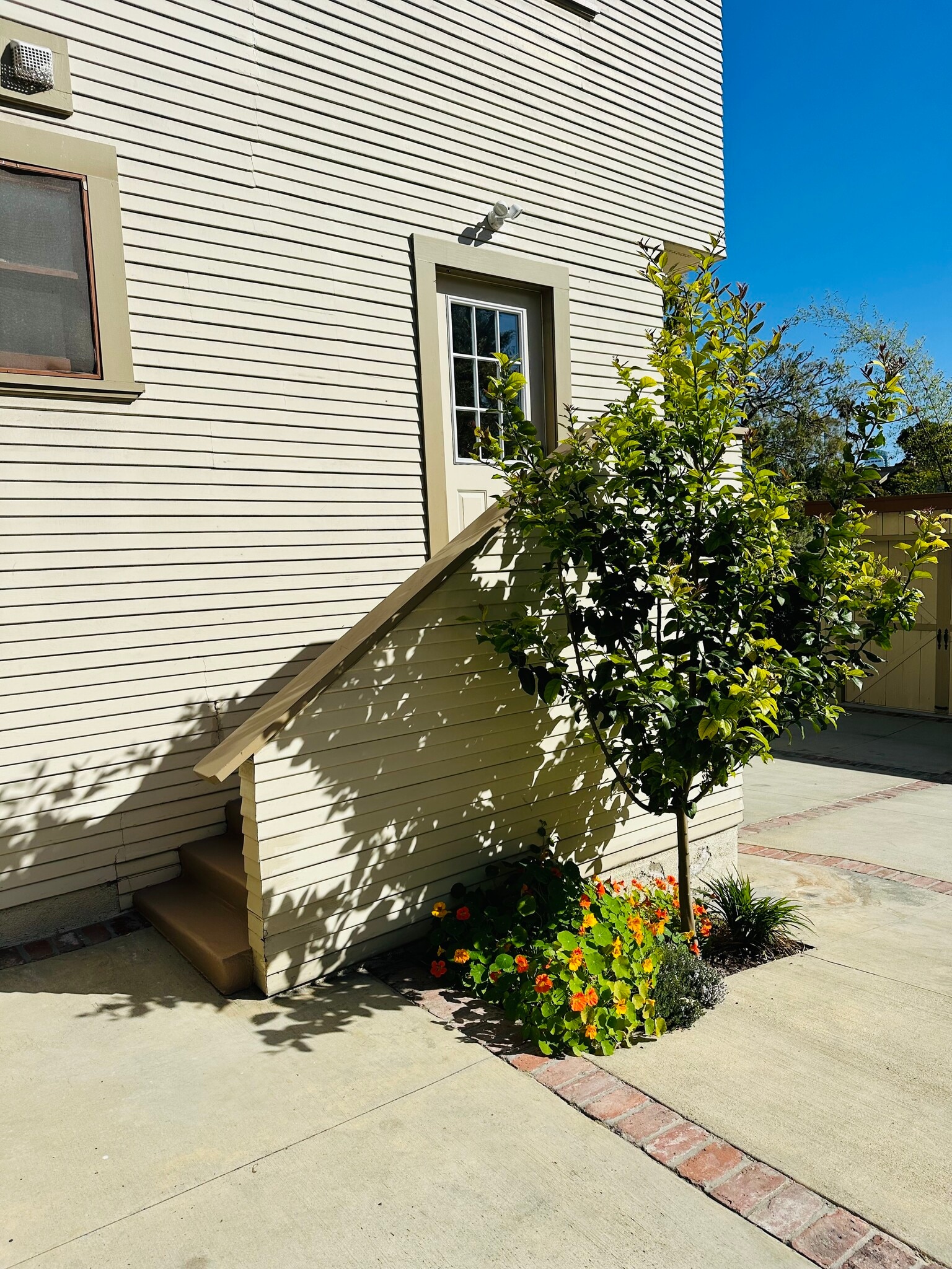 back entrance to kitchen from driveway - 847 E Kensington Rd