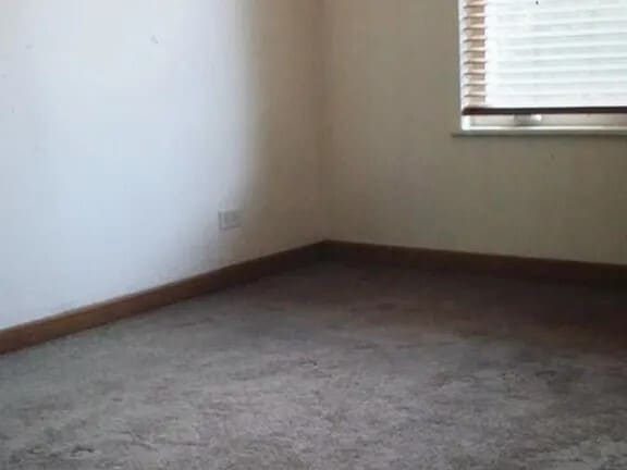 Building Photo - 397 Alles St