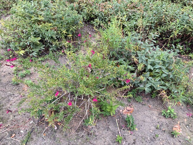 Building Photo - Beautiful, Loved, 3 bed-2 ba Mountain Home