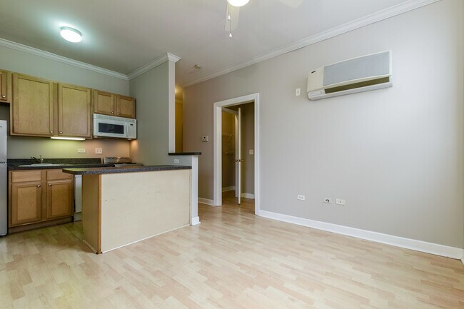 Building Photo - 738 W Briar Pl