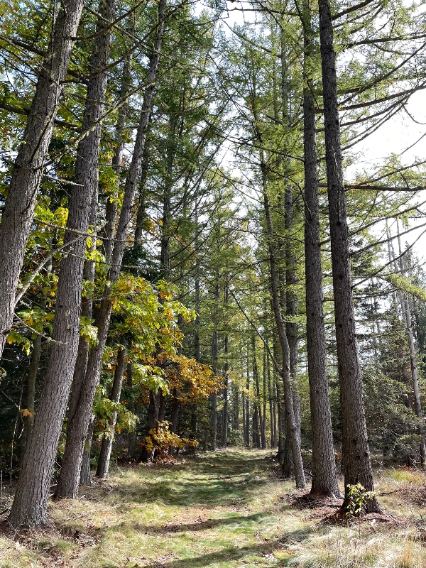 Building Photo - 74 Battle Ave