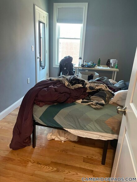 Building Photo - 339 Cambridge St