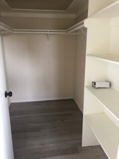 Second bedroom walk in closet - 533 N Helberta Ave
