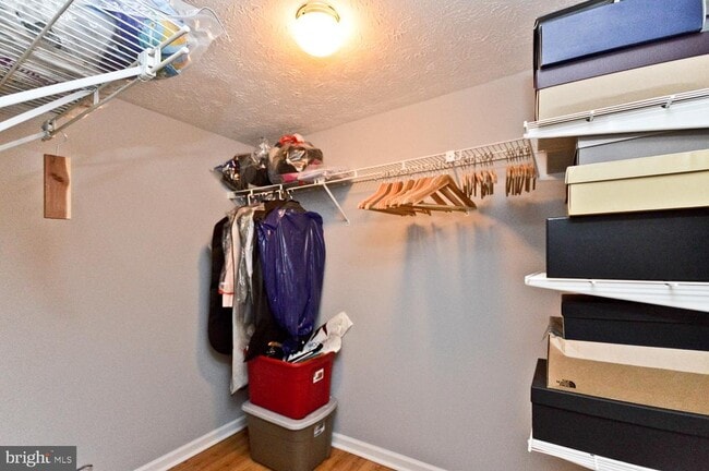 Building Photo - 9505 Baroness Ct