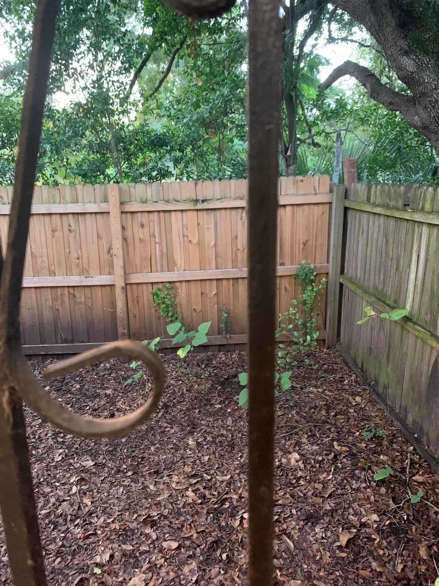 Building Photo - 10008 N Lantana Ave