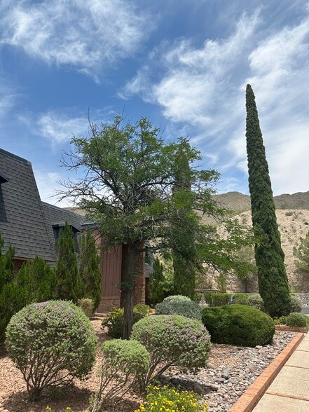 Landscaping - 4800 N Stanton St