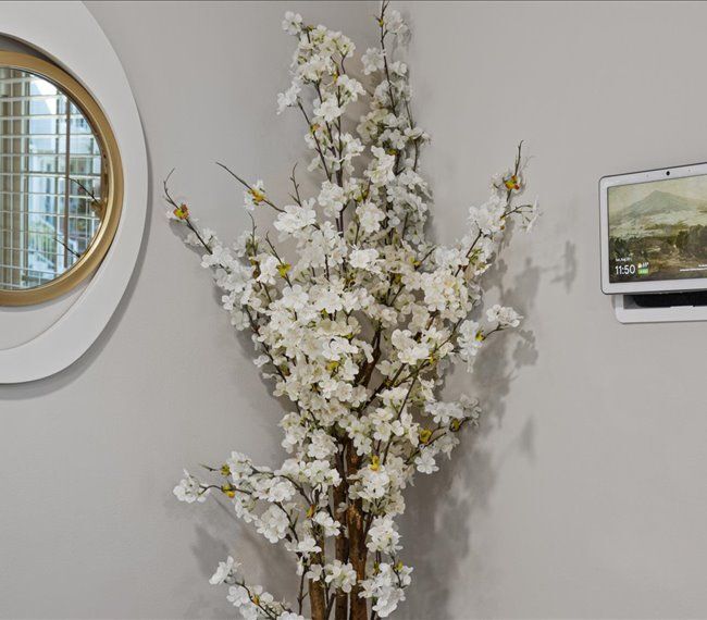 Building Photo - 2879 Madeira Ct