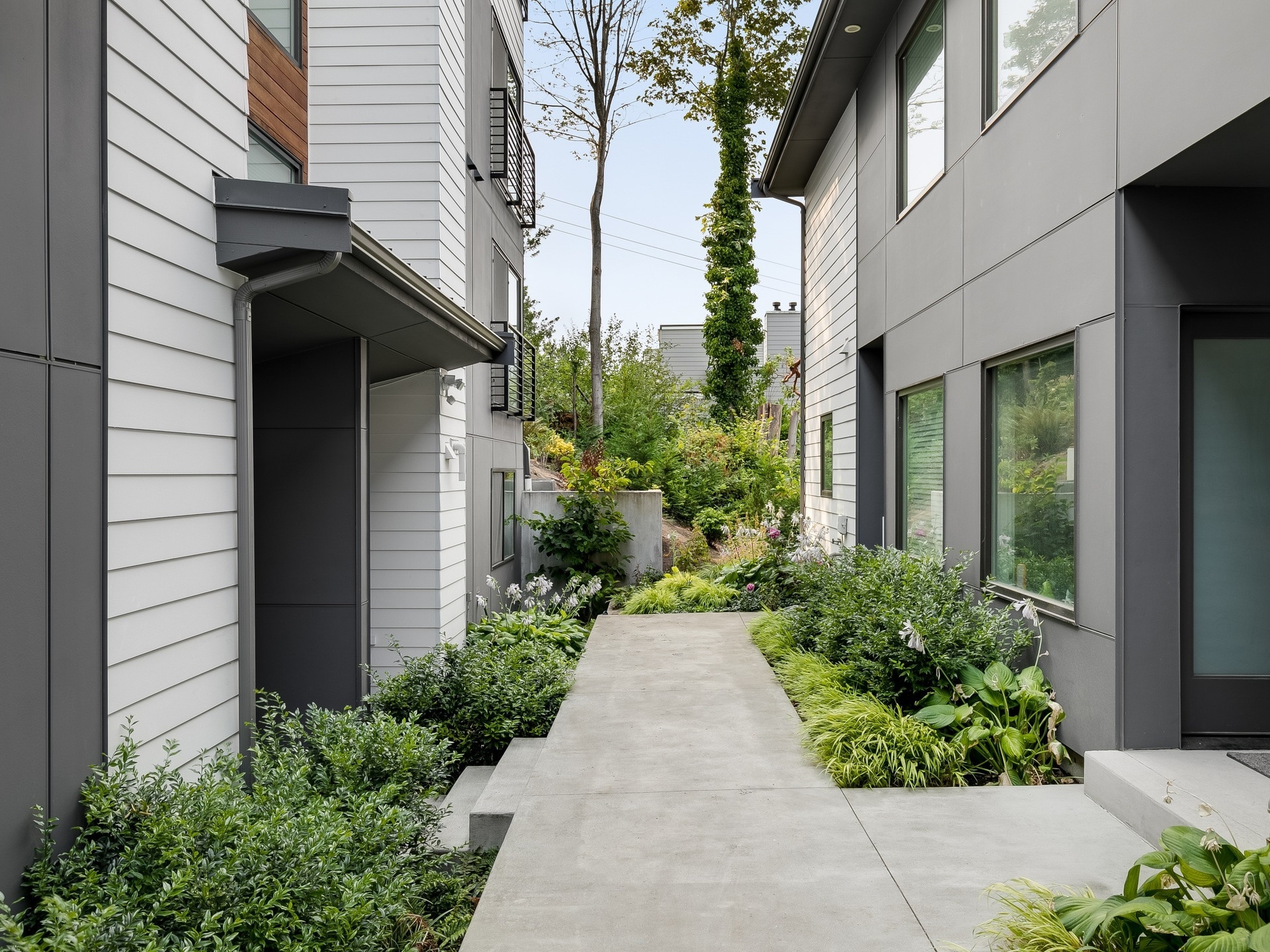 Gardens around townhouse - 2210 12th Ave W