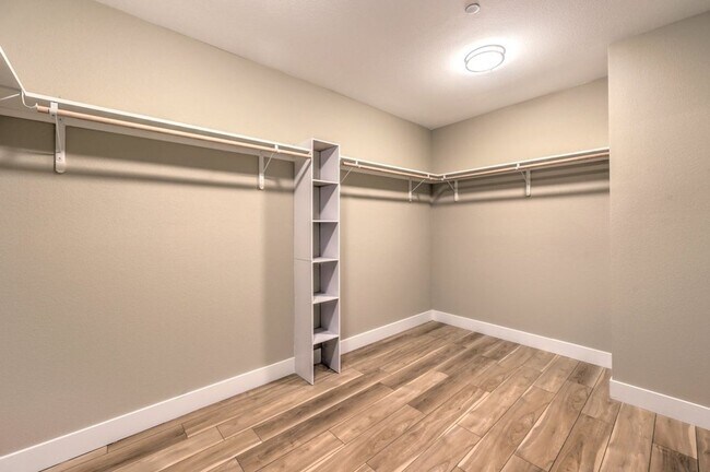 Building Photo - Strip View - Custom Home - Immediate Move In - Horse Property