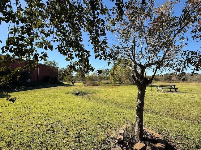 Building Photo - 5828 Avenue P