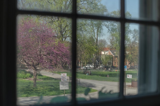 View from kitchen table - 206 E Marion St