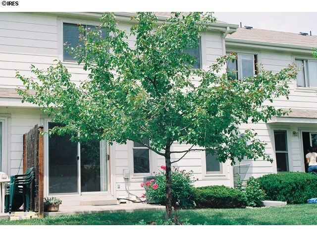 Building Photo - 1621 Underhill Dr