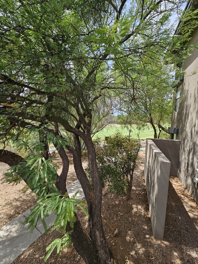 Building Photo - 5855 N Kolb Rd