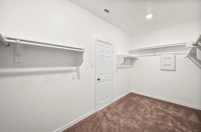 Building Photo - 336 Rainbow Cactus Dr