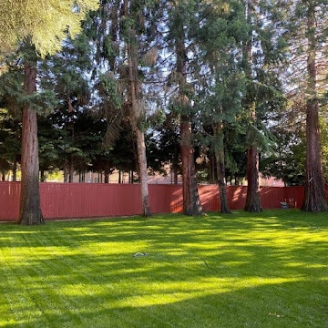 Building Photo - 10302 141st St Ct E