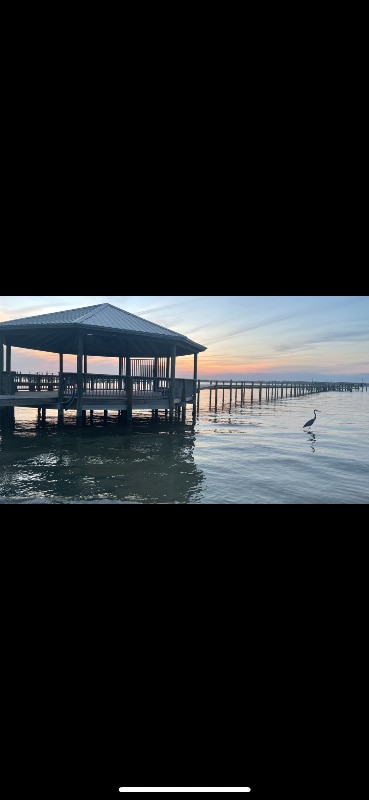 Building Photo - 8522 Gulf Blvd