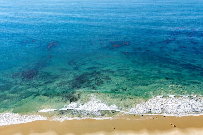 Building Photo - Ocean Views – Beachside Living