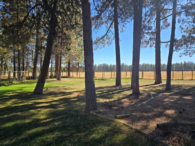 Building Photo - Live in Beautiful Tollgate and Minutes fro...