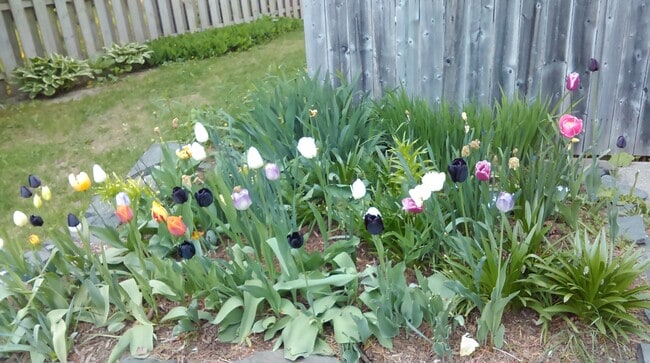 Building Photo - 237 Allen Ave