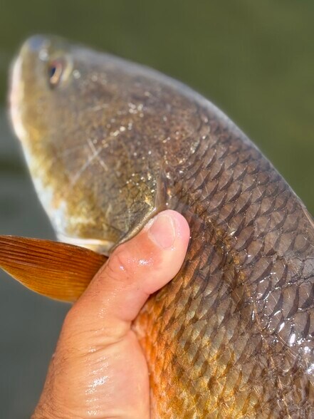 Building Photo - 350 79th Ave N