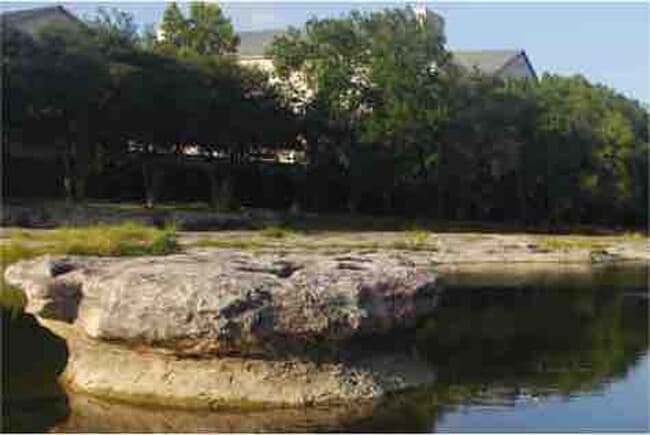 Building Photo - 1708-1710-1710 Horseshoe Cir