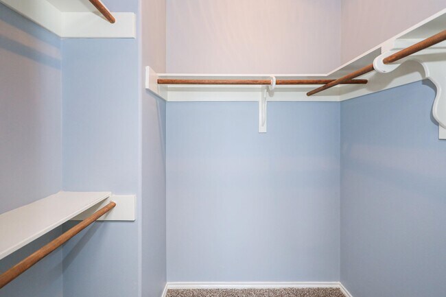 Building Photo - 2619 San Isidro Pkwy