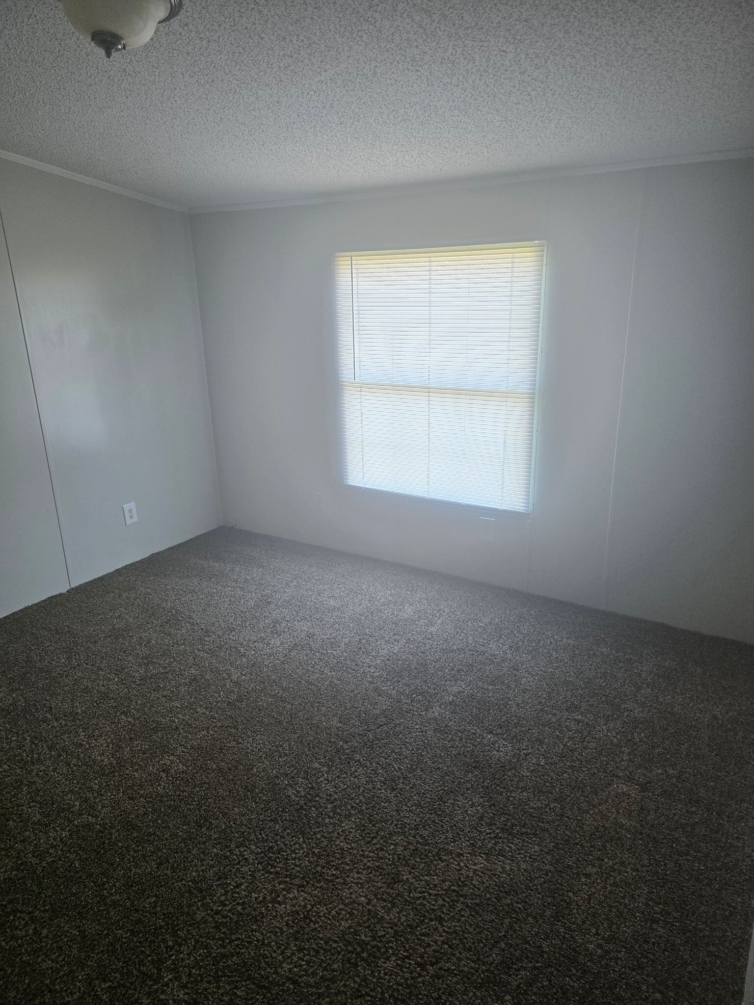 Building Photo - 1311 Knotty Elm Loop