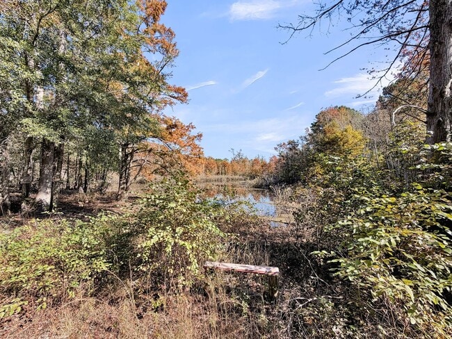 Building Photo - Tranquil Country Living on 2+ Acres — Spac...