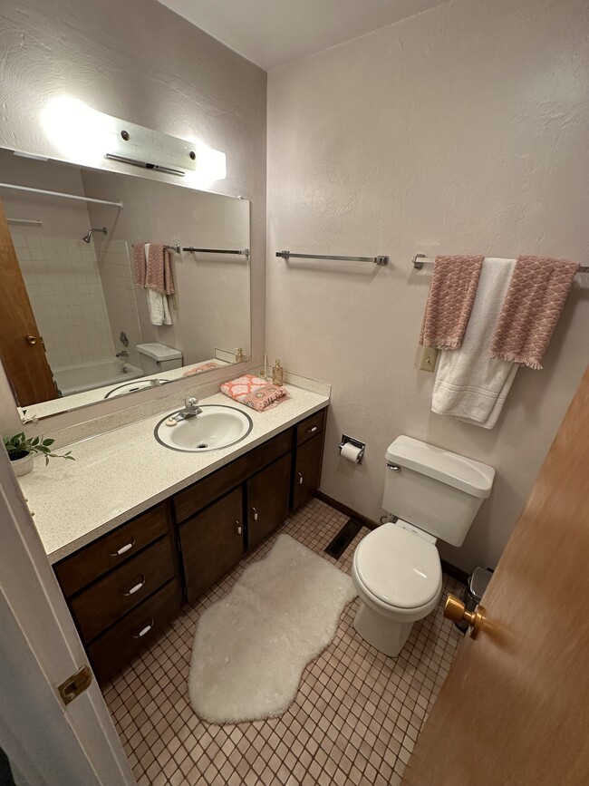 Main bathroom in hall of main level - 1214 Lincolnwood Rd