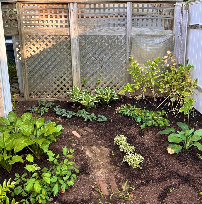 Building Photo - 6-5 5th St