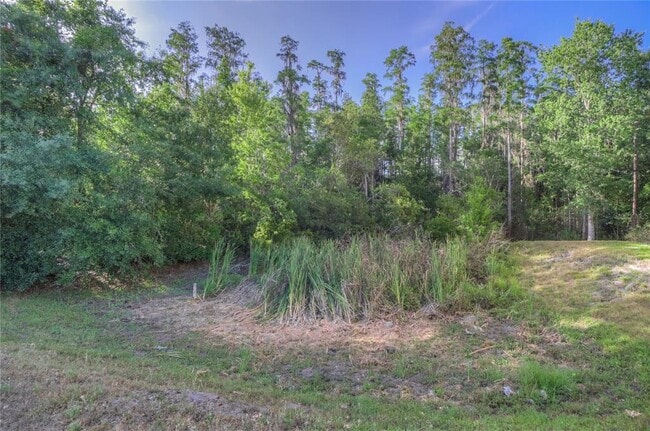 Building Photo - 8531 Trail Wind Dr