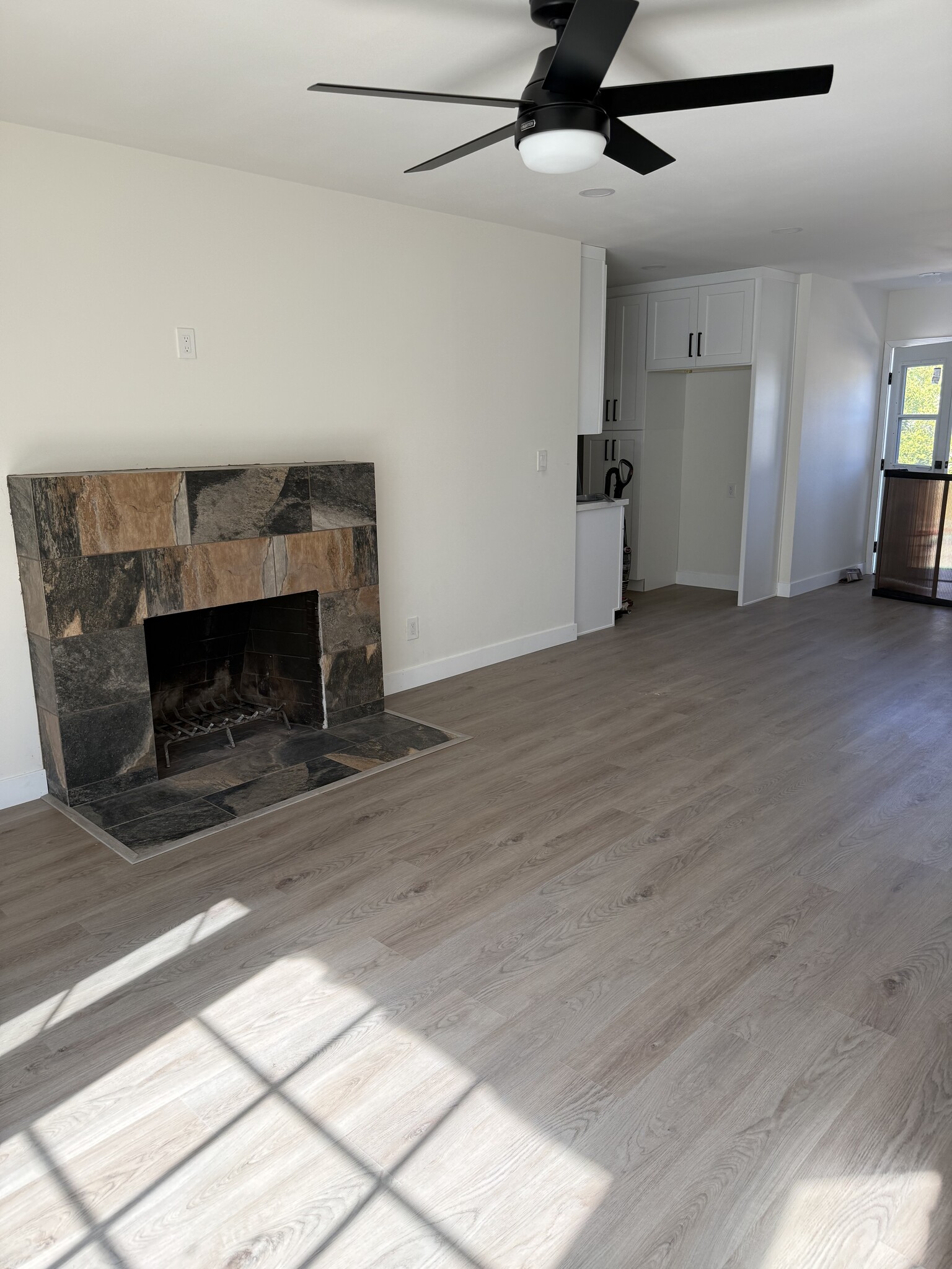 Living room fireplace - 1704 N Rose St