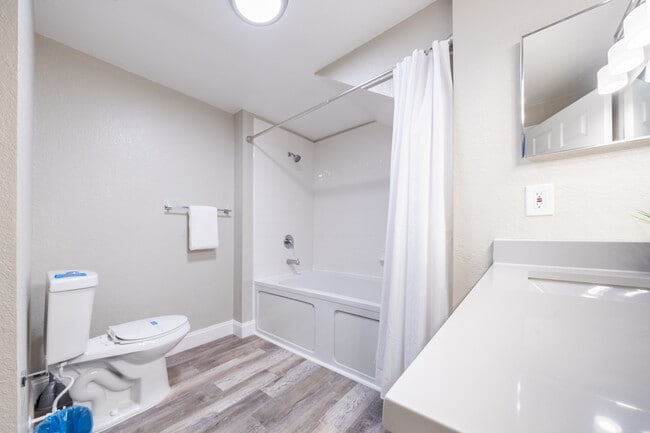 Building Photo - 2620 Lodi Cir