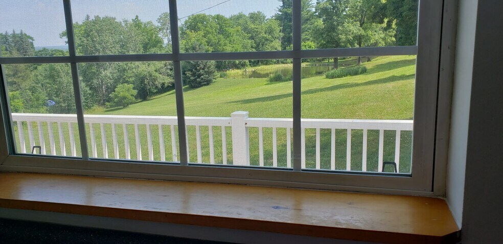 view from the kitchen - 1307 Dryden Rd