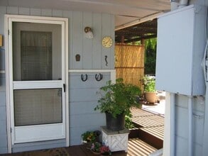 Building Photo - Comfy Studio for Rent