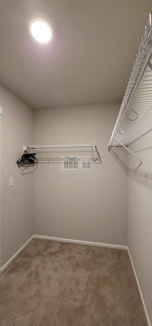 Building Photo - Stunning 3 bd House in Lacey!