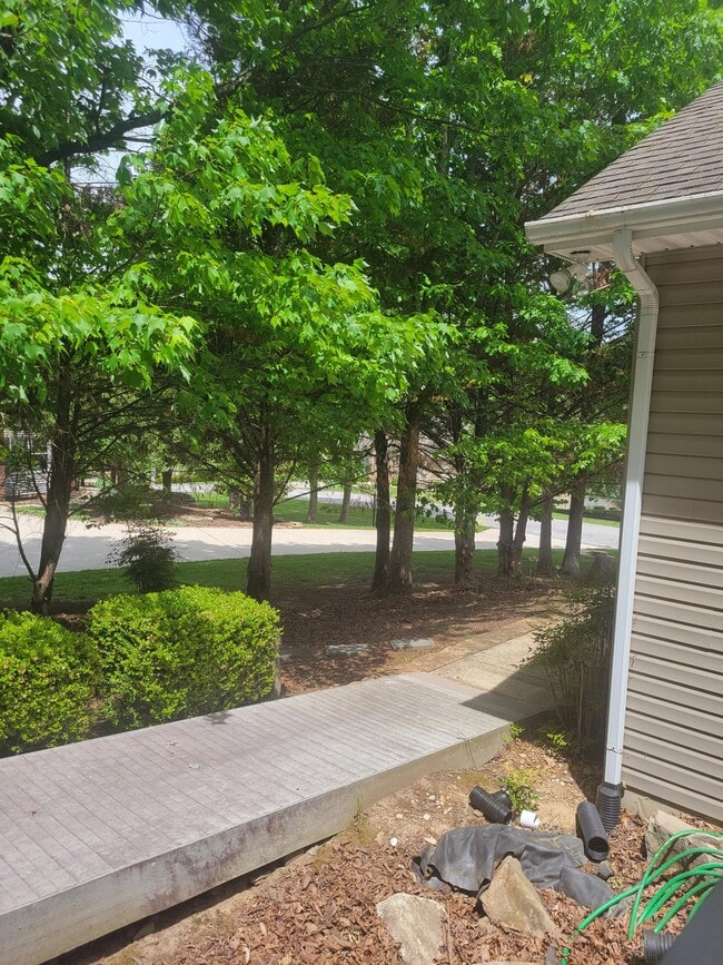 Building Photo - 11 Milnor Cir