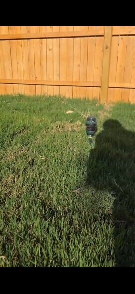 Building Photo - 7118 Shamrock Dome