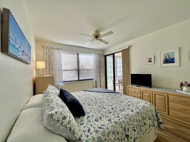Building Photo - 3020 Matecumbe Key Rd