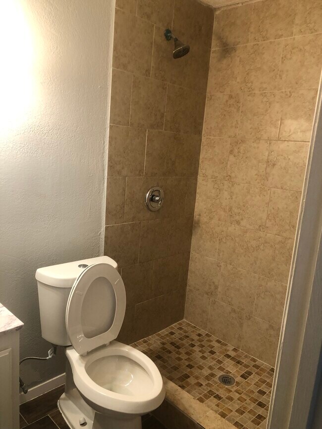 Walk in Shower - 529 E Williamson Ave