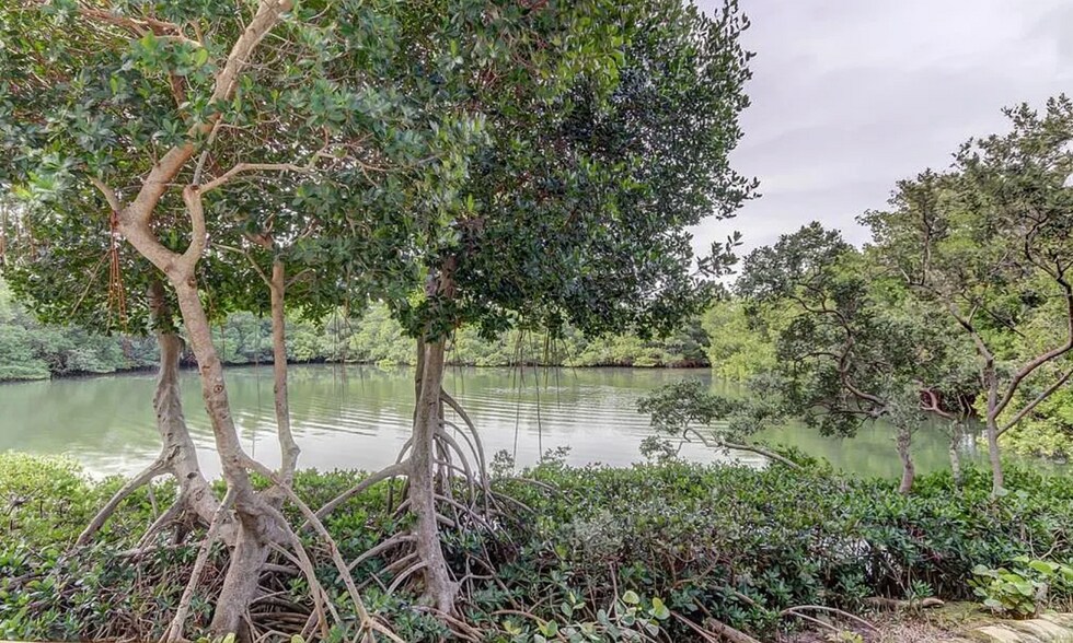 View - 7050 Sunset Dr S