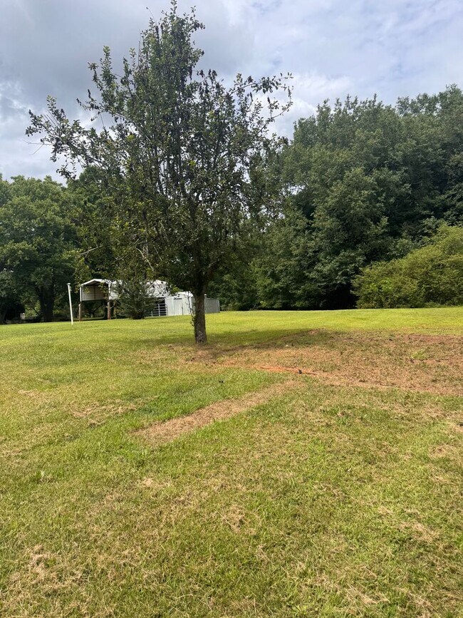 Building Photo - Spacious Brick Ranch on 3 Private Acres in Commerce